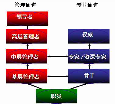 人才招聘2.png